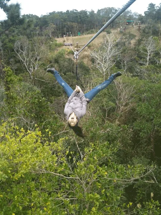 Student trying zipline in Northern Okinawa, Japan