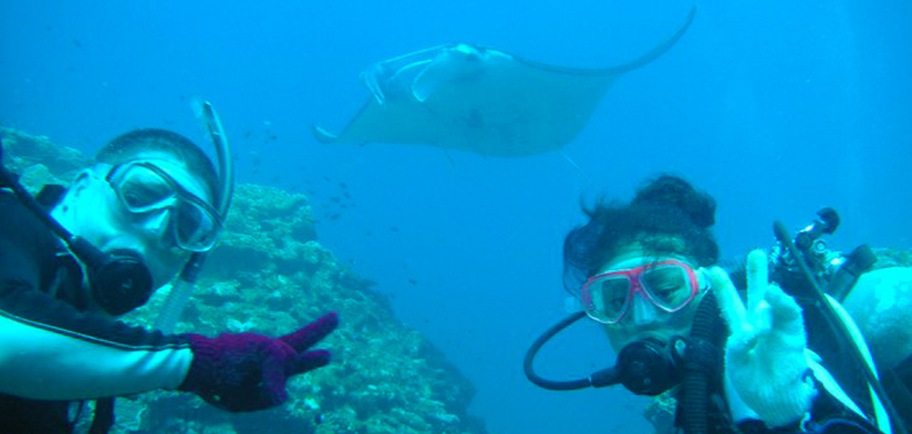 #captionJ Diving With Mantas in Ishigaki
