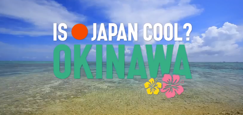 Study & Internship Program