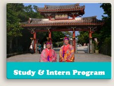 Study & Intern Program